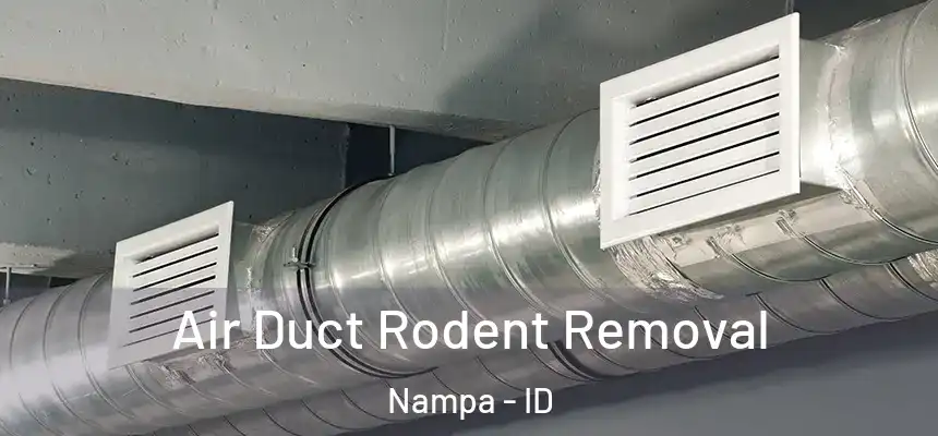 Air Duct Rodent Removal Nampa - ID