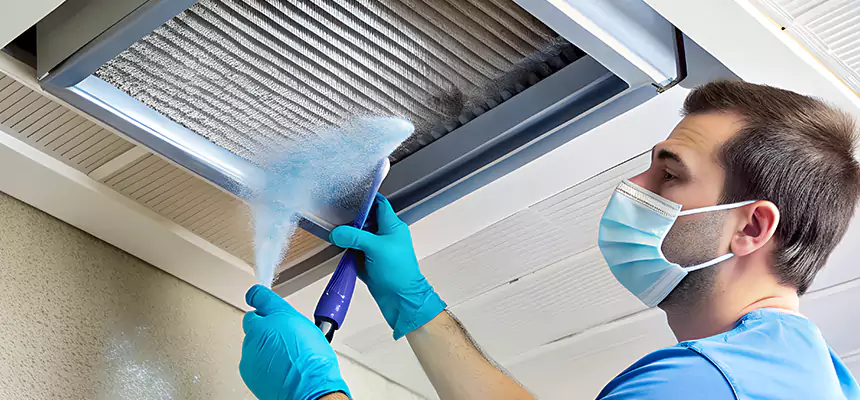 Proactive Dryer Vent & Auxiliary Duct Pollen Cleanup in Nampa, ID