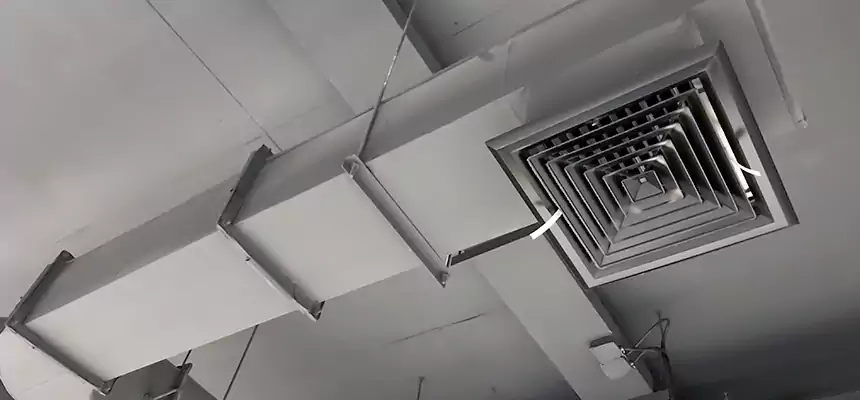 Our Pest Removal From Ducts Services in Nampa, ID