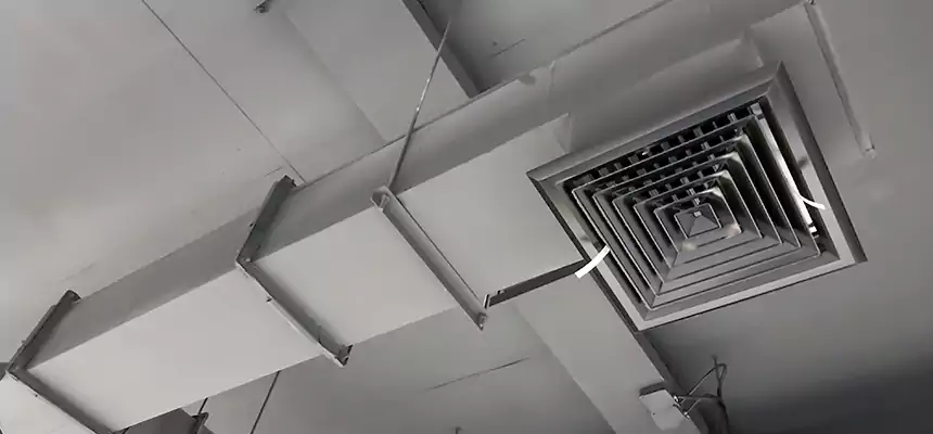 Our Rodent Droppings In Vents Services in Nampa, ID