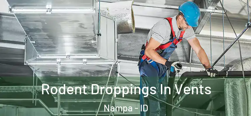 Rodent Droppings In Vents Nampa - ID