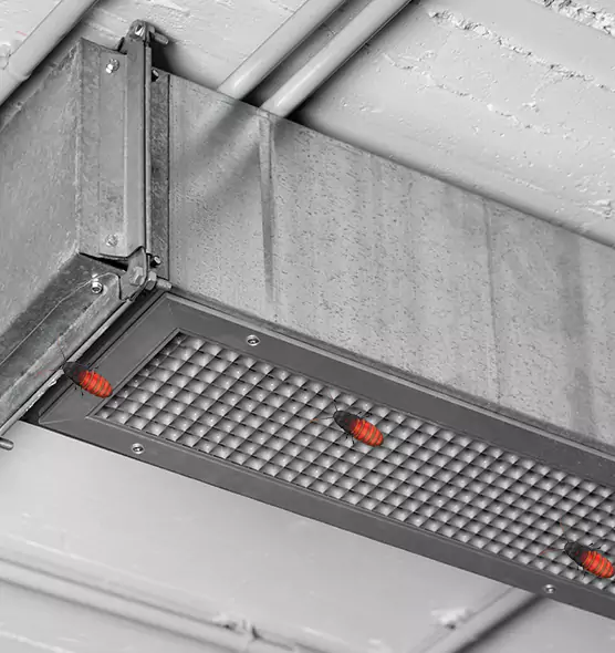 About Air Duct Cockroach Removal in Nampa, ID
