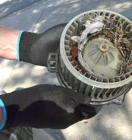 About Air Duct Rat Removal in Nampa, ID