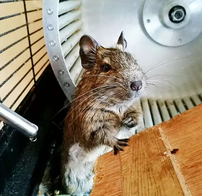 Why Homeowners & Businesses Trust Us Nampa, ID