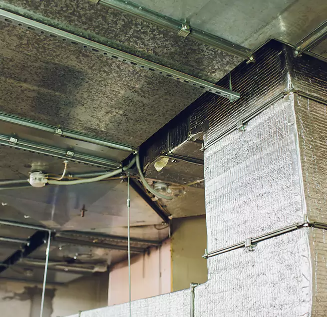 Why Homeowners & Businesses Trust Us in Nampa, ID?